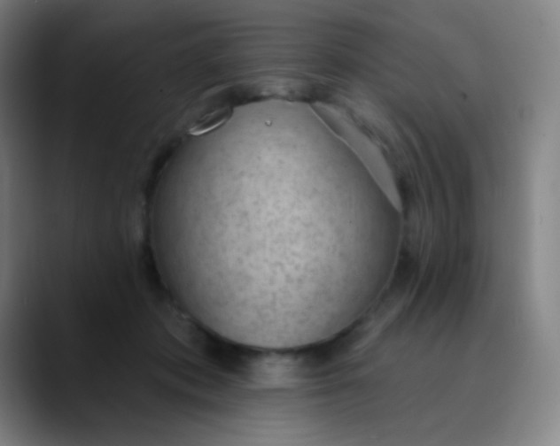 X0000089860413200707121740