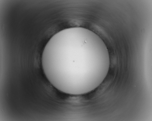 X0000089860414200707121740