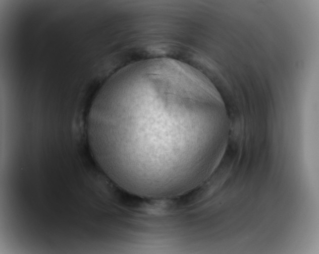 X0000089860418200707121739