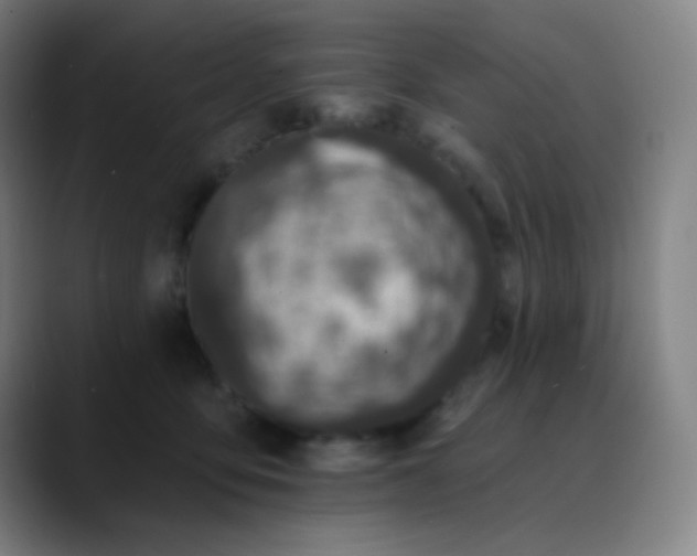 X0000089860419200707121739