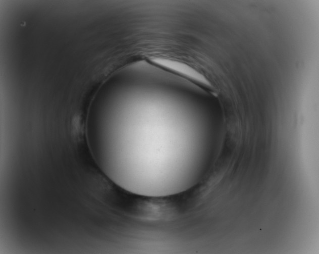 X0000089860420200707121739