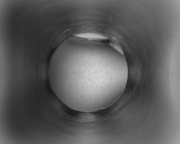 X0000089860421200707121739