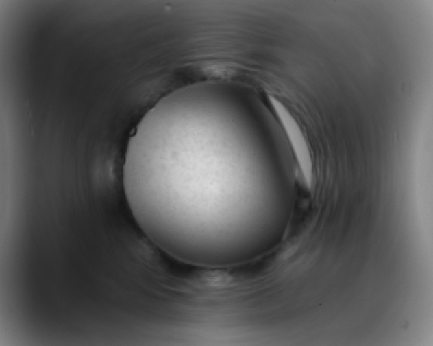 X0000089860424200707121739