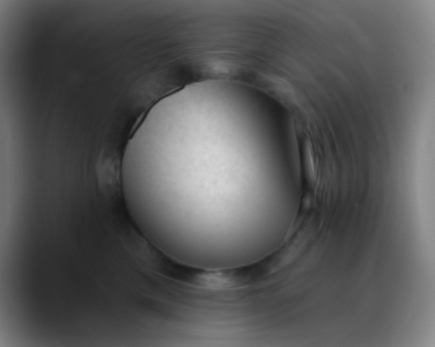 X0000089860425200707121739