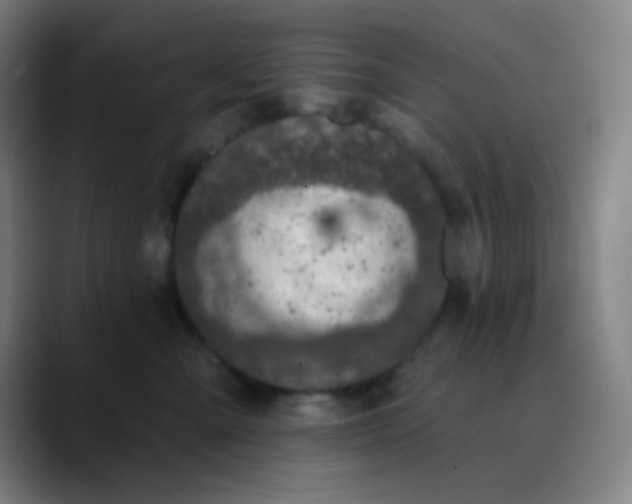 X0000089860427200707121739