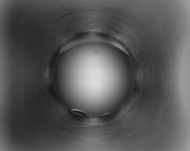 X0000089860428200707121739