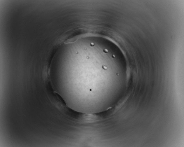 X0000089860429200707121739