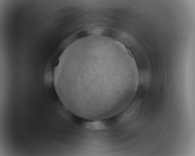 X0000089860431200707121739