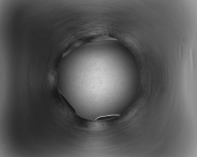 X0000089860432200707121739