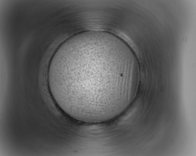 X0000089860433200707121739