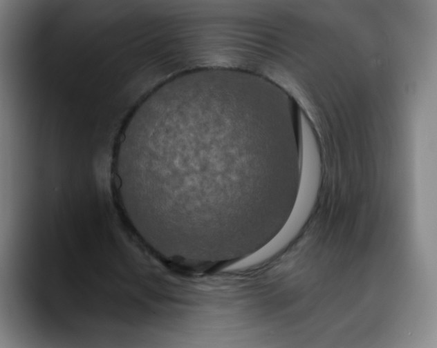 X0000089860434200707121739