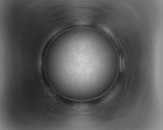 X0000089860435200707121739