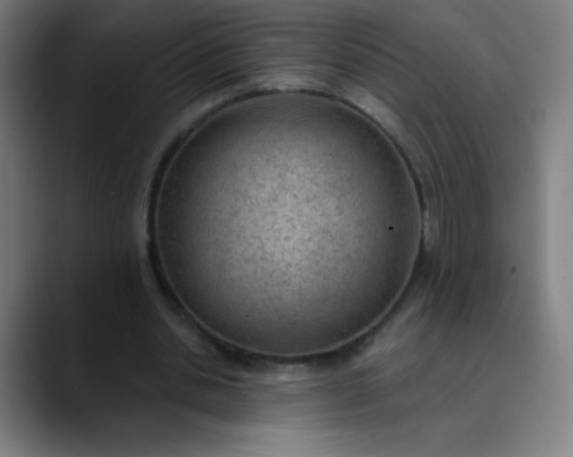 X0000089860438200707121739