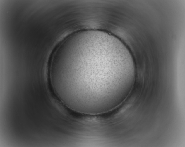 X0000089860439200707121739