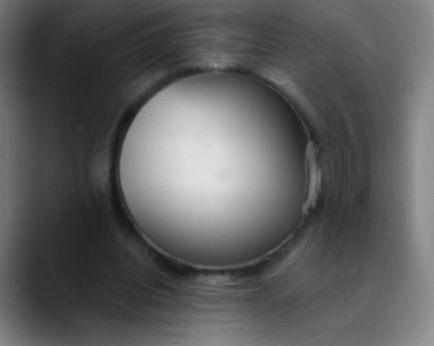 X0000089860440200707121739