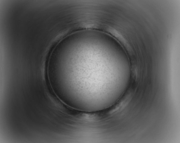 X0000089860442200707121739