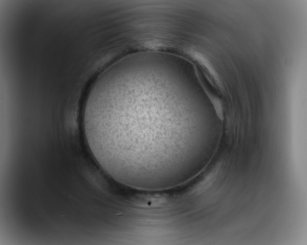 X0000089860443200707121739