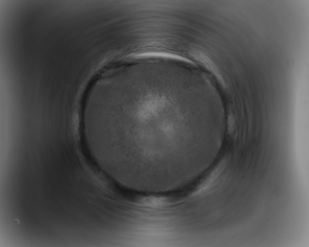 X0000089860444200707121739