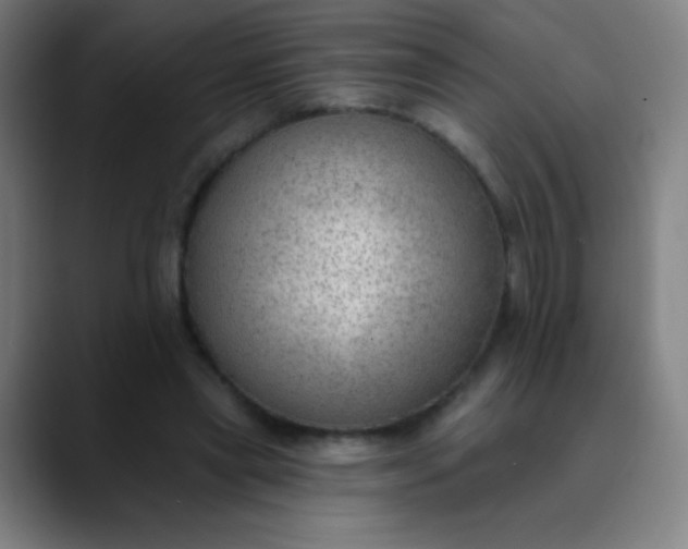 X0000089860445200707121739