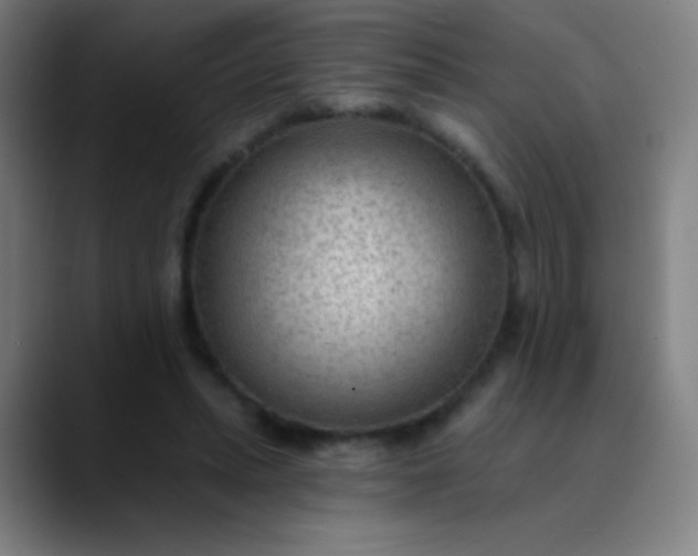 X0000089860447200707121739