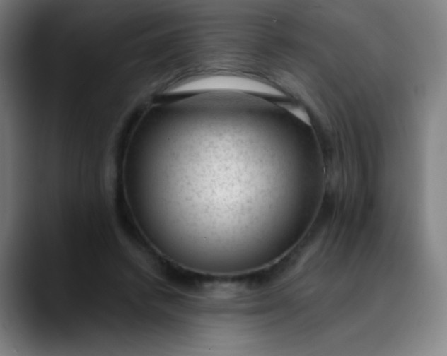 X0000089860448200707121739