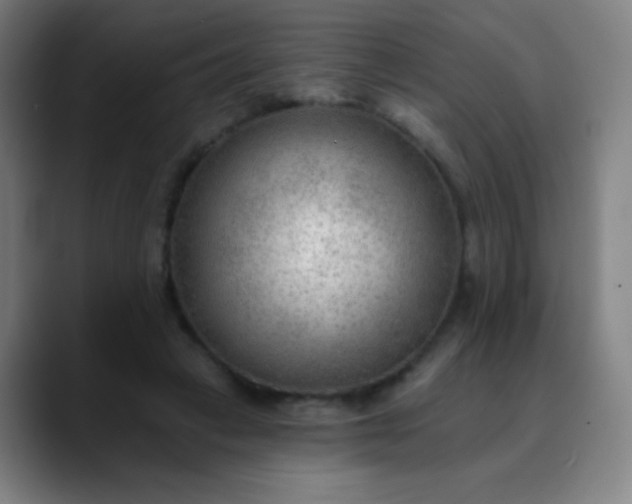 X0000089860449200707121739