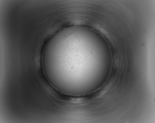 X0000089860450200707121739