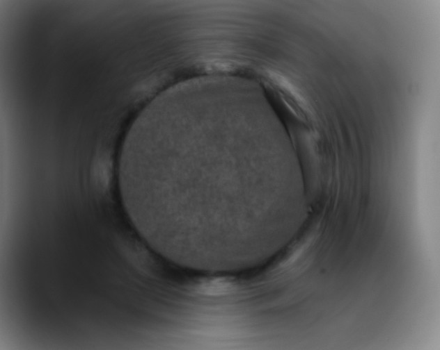 X0000089860451200707121739