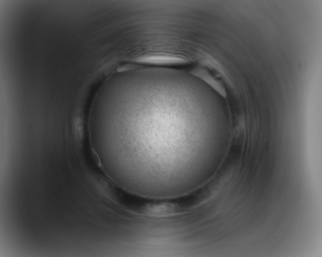 X0000089860452200707121739