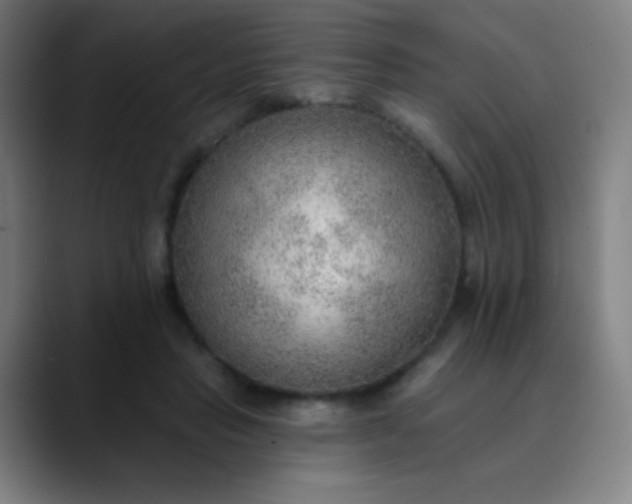 X0000089860453200707121739