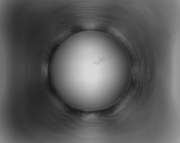 X0000089860454200707121739