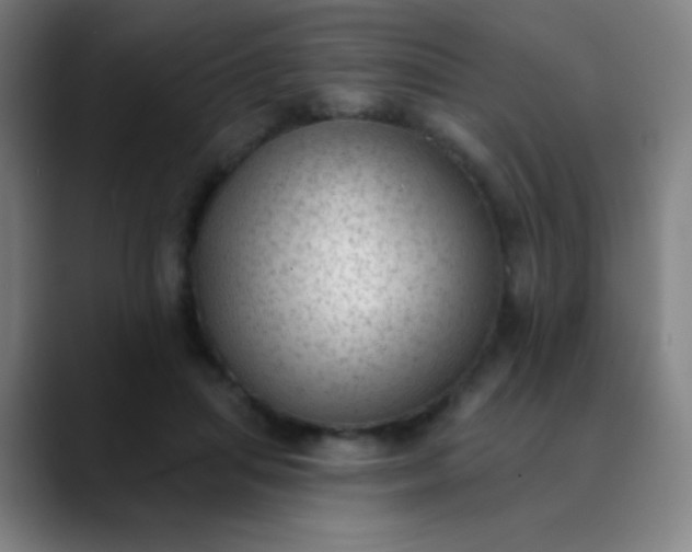 X0000089860455200707121739