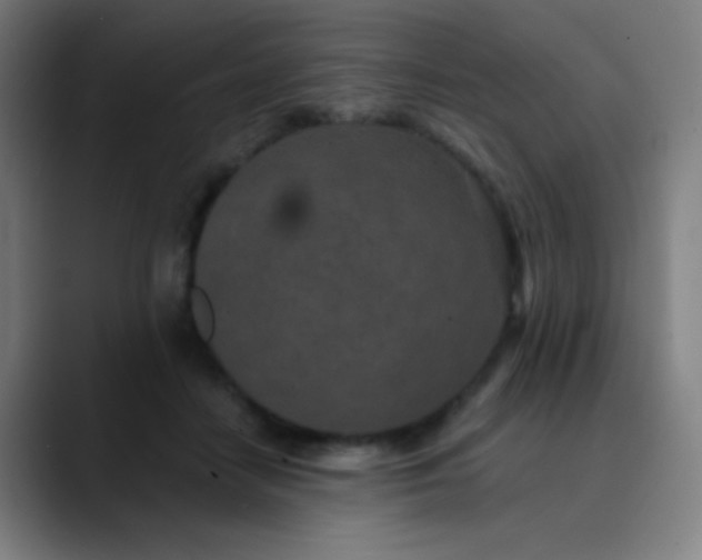 X0000089860458200707121739