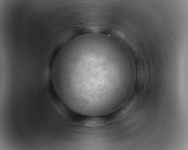 X0000089860459200707121739