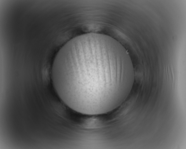 X0000089860460200707121739