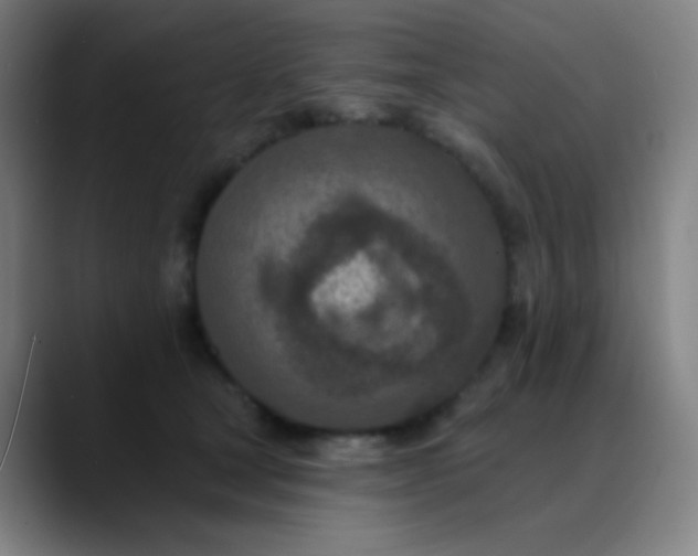 X0000089860465200707121739