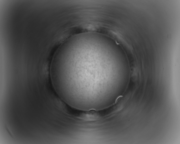 X0000089860466200707121739