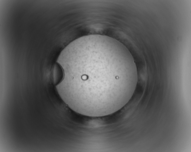 X0000089860468200707121739