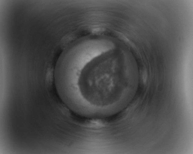 X0000089860475200707121739