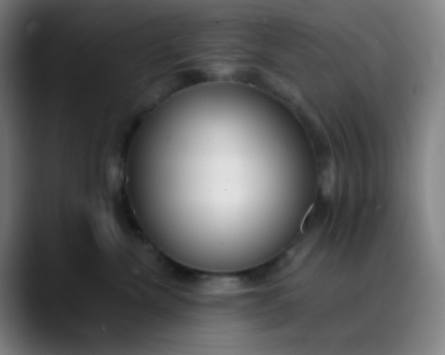 X0000089860476200707121739