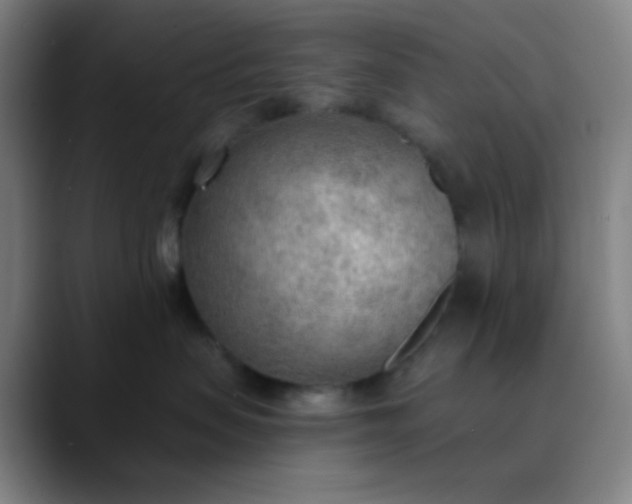 X0000089860479200707121739