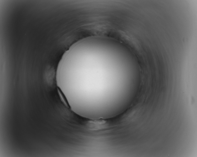 X0000089860480200707121739