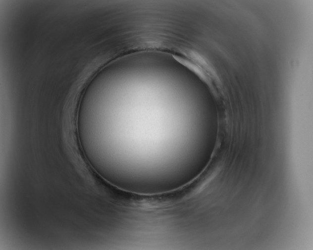 X0000089860481200707121739