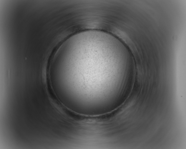 X0000089860482200707121739