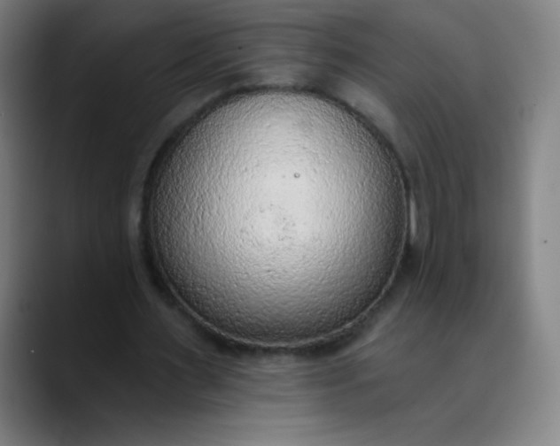 X0000089860483200707121739