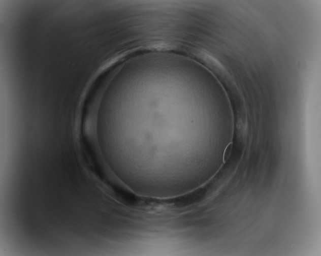 X0000089860484200707121739