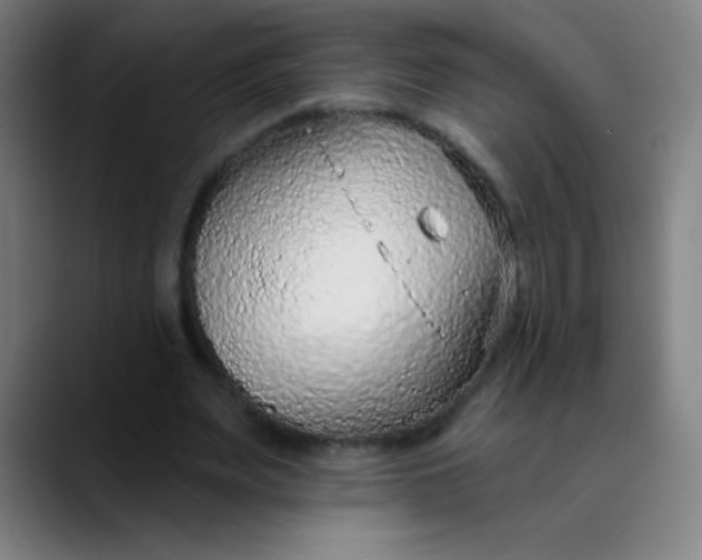 X0000089860487200707121739