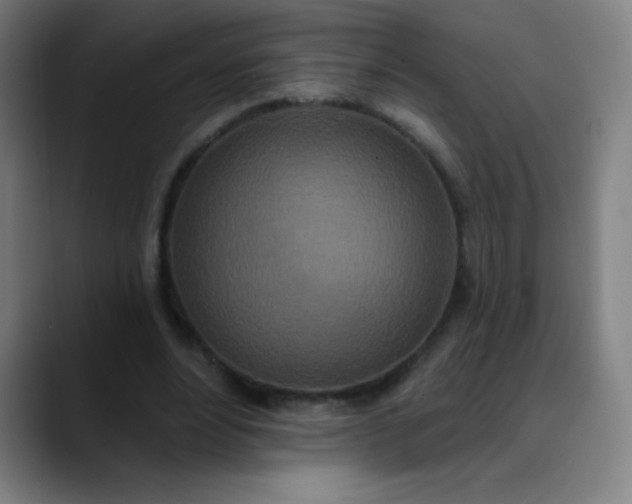 X0000089860488200707121739