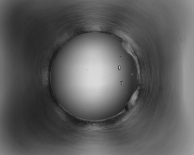 X0000089860489200707121739