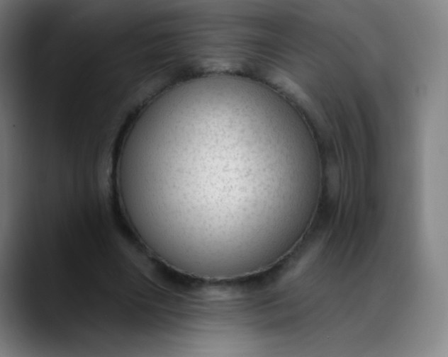 X0000089860490200707121739